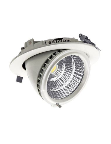 Proyector LED RD-170mm 40W Orientable